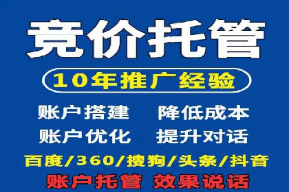 某电商平台的SEM推广策略分析